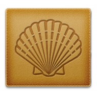 Sample Scallop - Sample Image